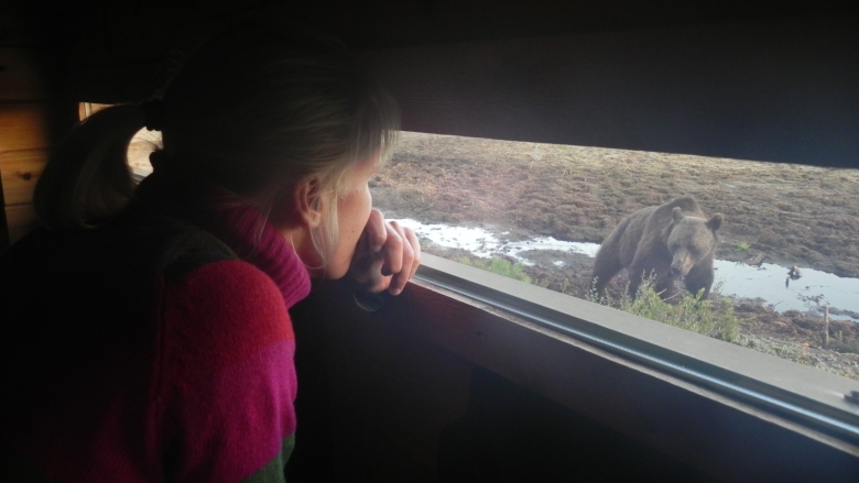 Nainen katsoo puisen rakennuksen ikkuna-aukosta ulkona vetisellä suolla seisovaa karhua. Karhun katse on kohti naista.