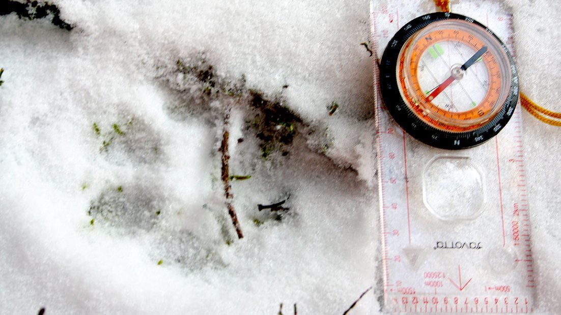 Lodjurets spår med märken av fyra klor i snön. Bredvid en kompass.