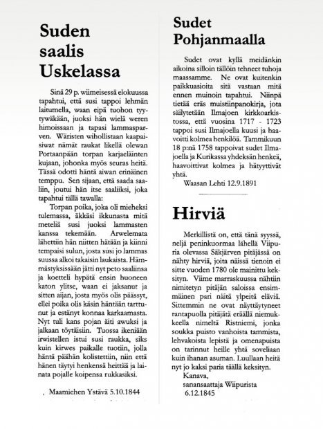 Kuvakopio kolmesta lehtiartikkelista. Maamiehen ystävä -lehdessä vuonna 1884 ollut Suden saalis Uskelassa, Waasan lehdessä vuonna 1881 ollut Sudet Pohjanmaalla ja Kanava-lehdessä vuonna 1845 ollut Hirviä. Teksti on luettavissa sivulla Suurpetokirjoituksia menneiltä vuosisadoilta.

