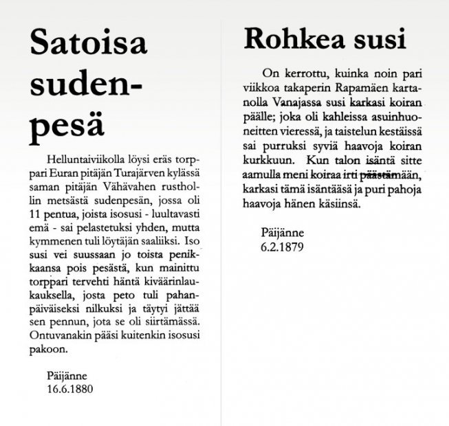 Kuvakopio Päivänne-lehdessä vuonna 1880 olleesta artikkelista Satoisa sudenpesä ja vuonna 1879 olleesta artikkelista Rohkea susi. Teksti on luettavissa sivulla Suurpetokirjoituksia menneiltä vuosisadoilta.

