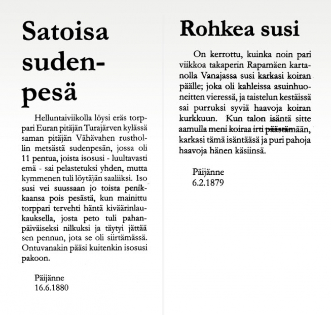 Kuvakopio Päivänne-lehdessä vuonna 1880 olleesta artikkelista Satoisa sudenpesä ja vuonna 1879 olleesta artikkelista Rohkea susi. Teksti on luettavissa sivulla Suurpetokirjoituksia menneiltä vuosisadoilta.


