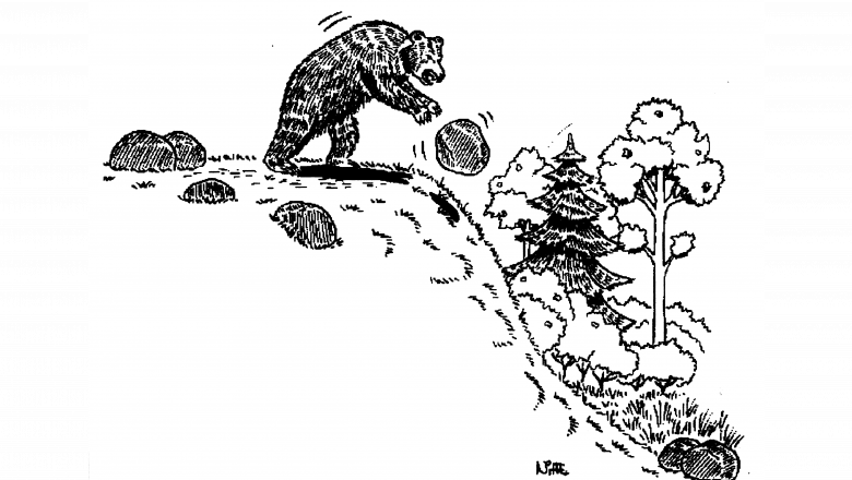 Mustavalkoinen piirros karhusta, joka heittää kiveä alas mäenrinnettä. Taustalla mäen alla puita.