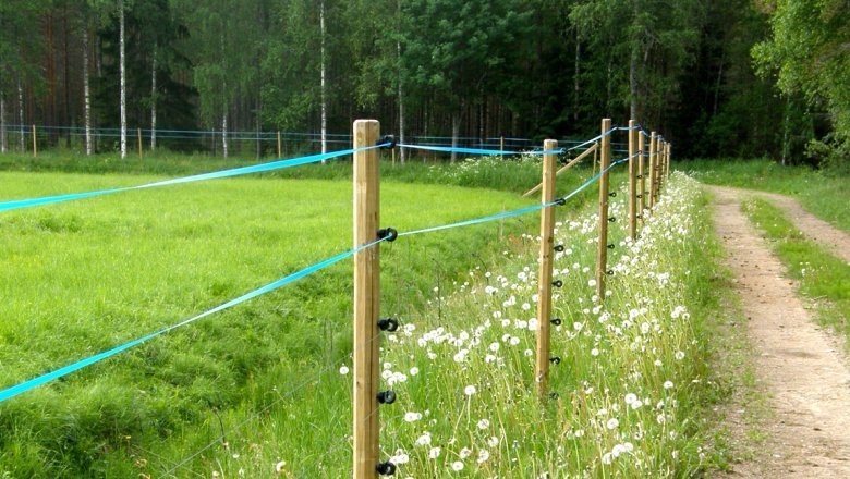 Heinäpelto, jonka ympärillä on korkea, puutolpista, sähkölinjoista ja nauhoista rakennettu aita. Oikealla puolen on ruohoa kasvava hiekkatie.